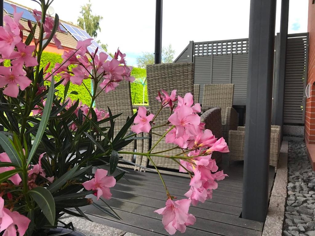 Haus Im Gruenen Lägenhet Heringsdorf  Exteriör bild